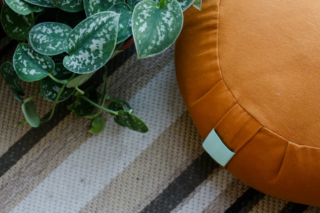 Orange zafu on a striped rug with greenery