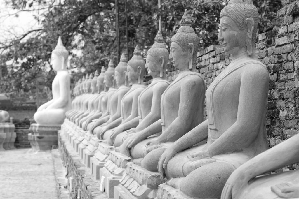 A row of Buddha statues in meditation.