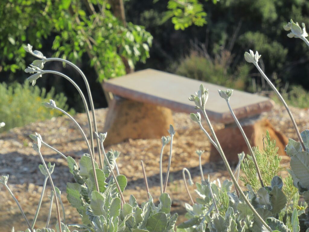 Seiza meditation bench in the background behind flowers.